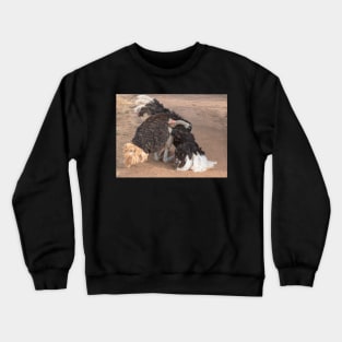 Ostrich Display Crewneck Sweatshirt